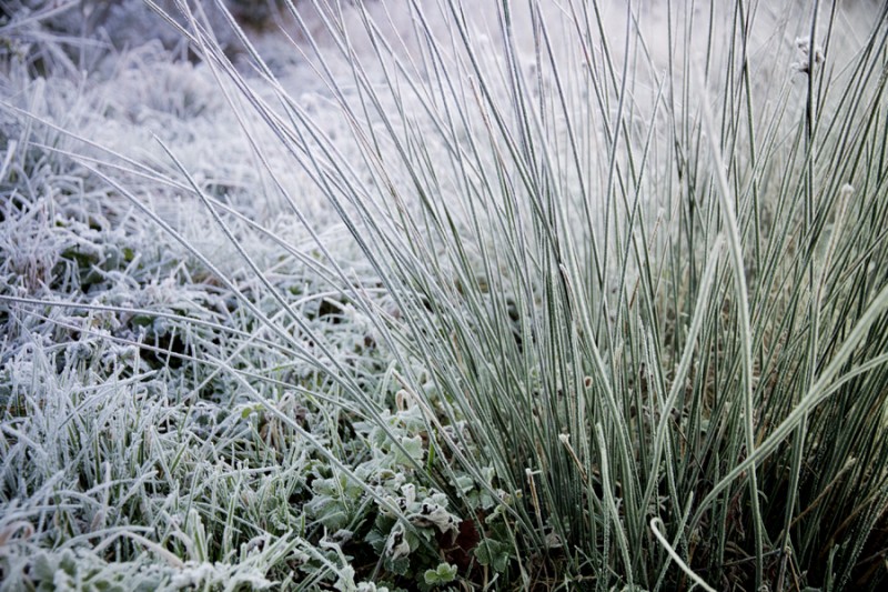 IMG_0485 IMG_0485