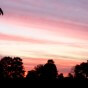 Septembre en attendant