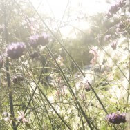 Le retour de l&rsquo;automne