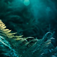 C&rsquo;est le moment de sortir