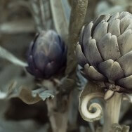 Le temps des vacances