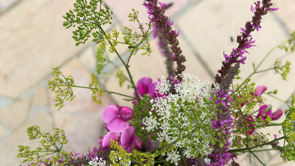 Bouquet de fleurs des champs