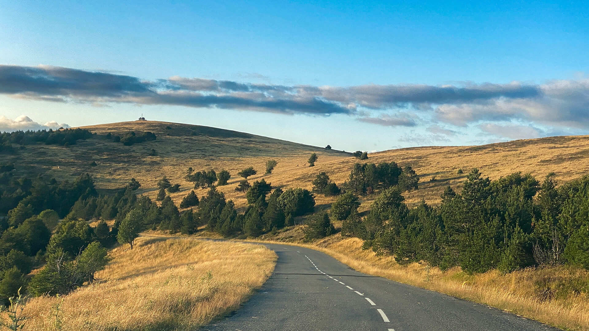 Parcimonie sentimentale