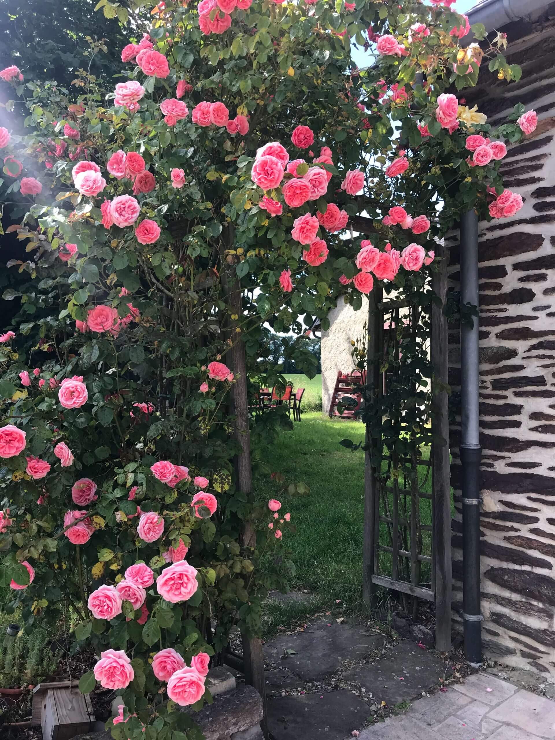 La patience qui m&rsquo;échappe encore