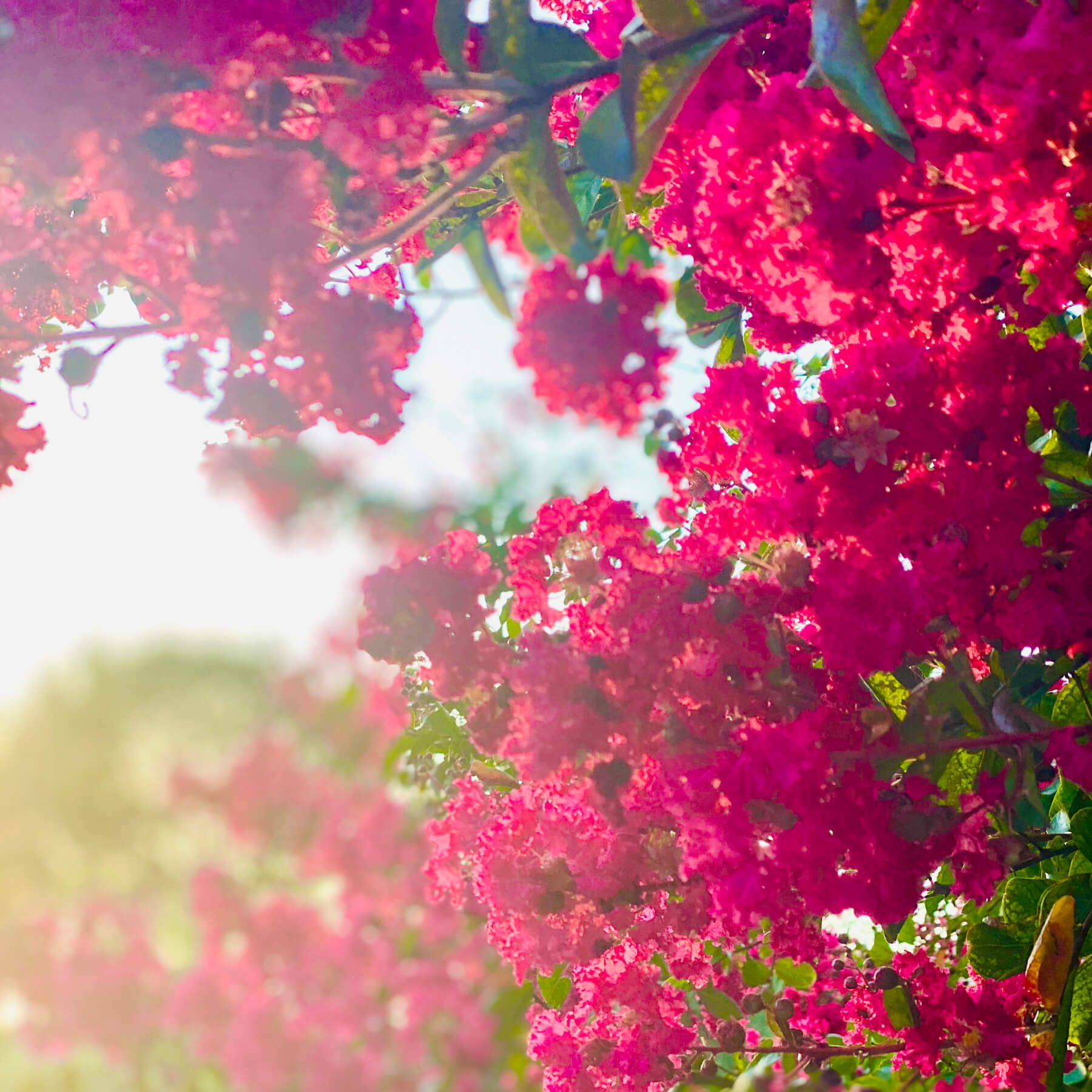 Contre l&rsquo;obscurantisme