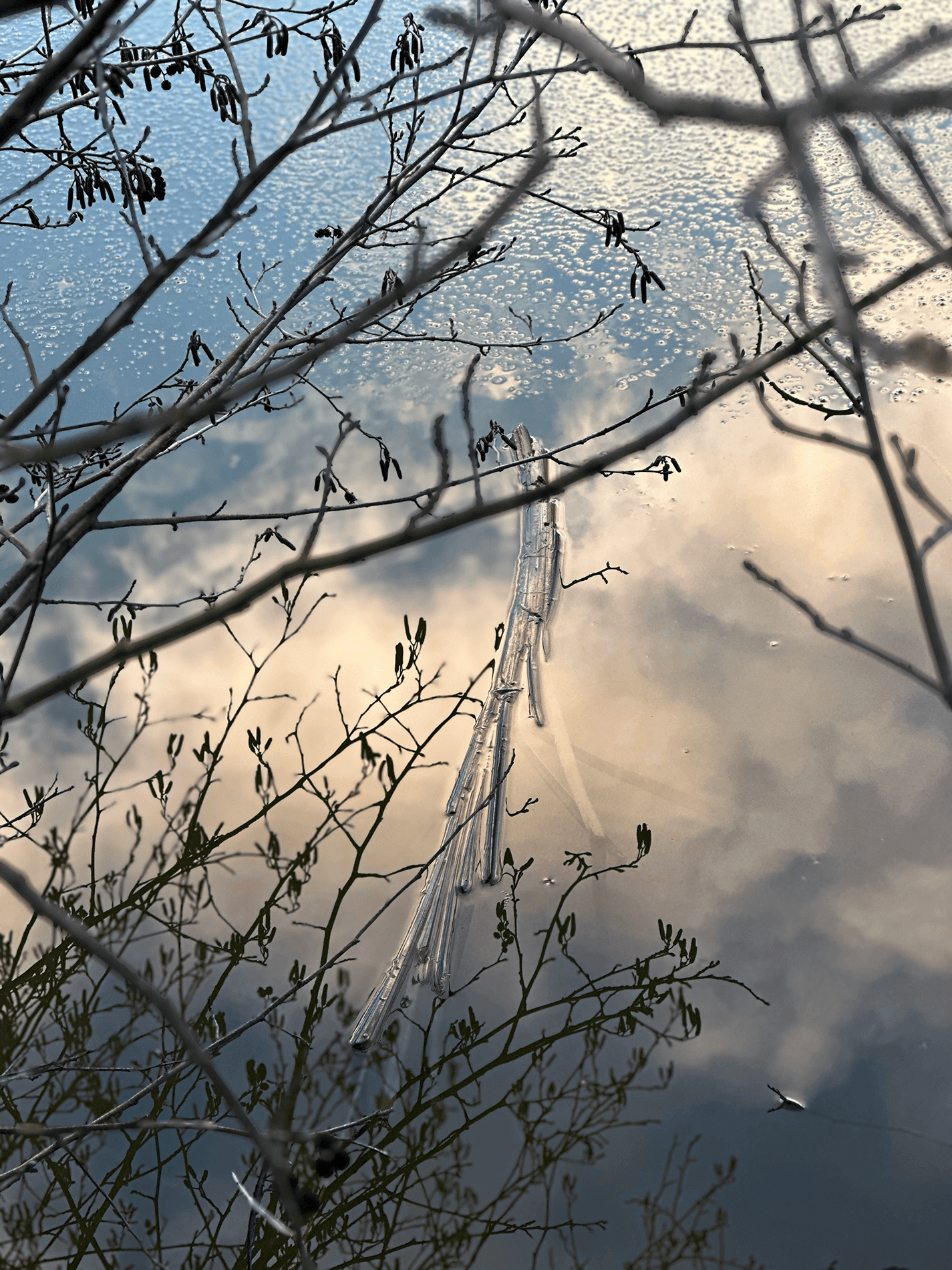 Ce qu&rsquo;il restera de 2025