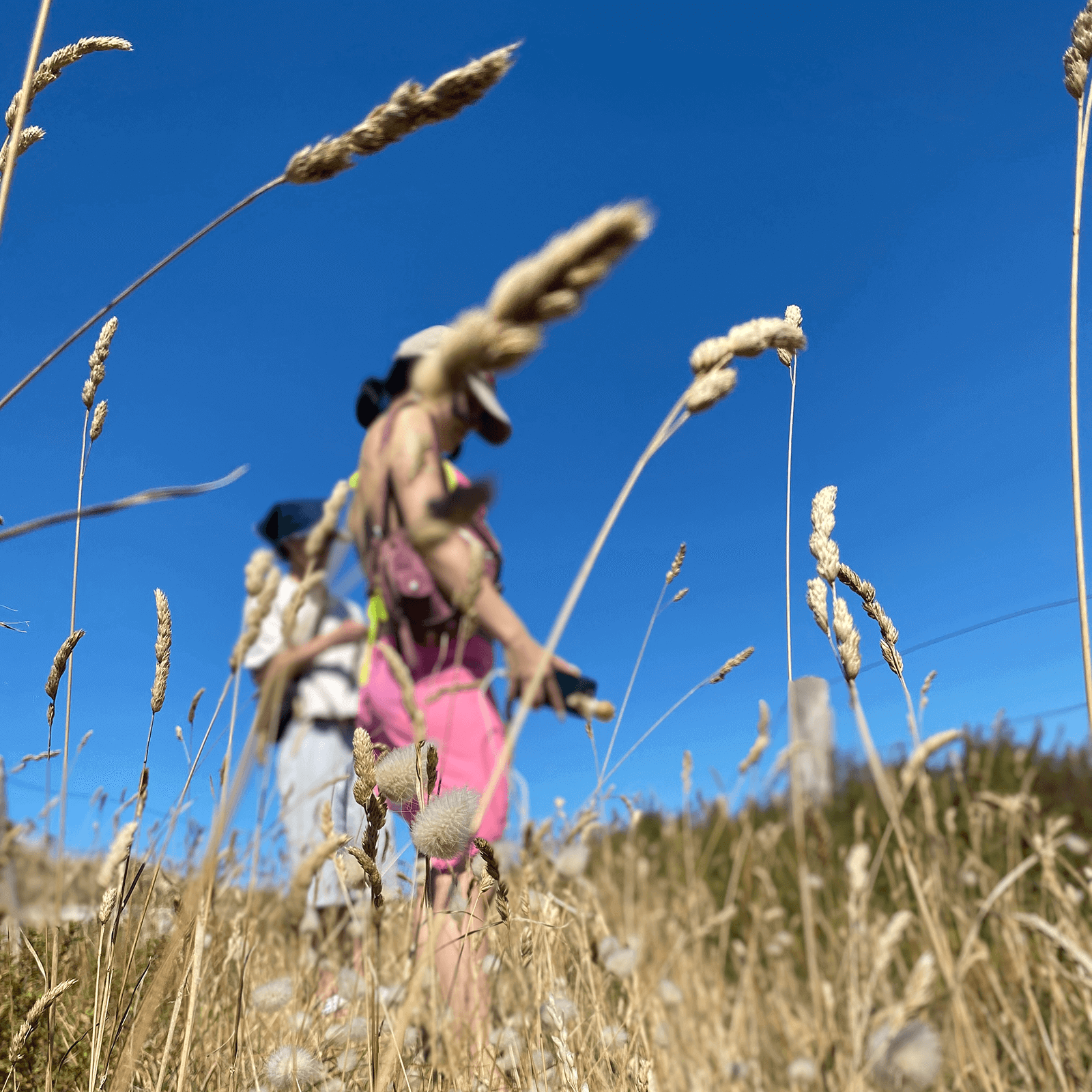 Savourer ce qui reste