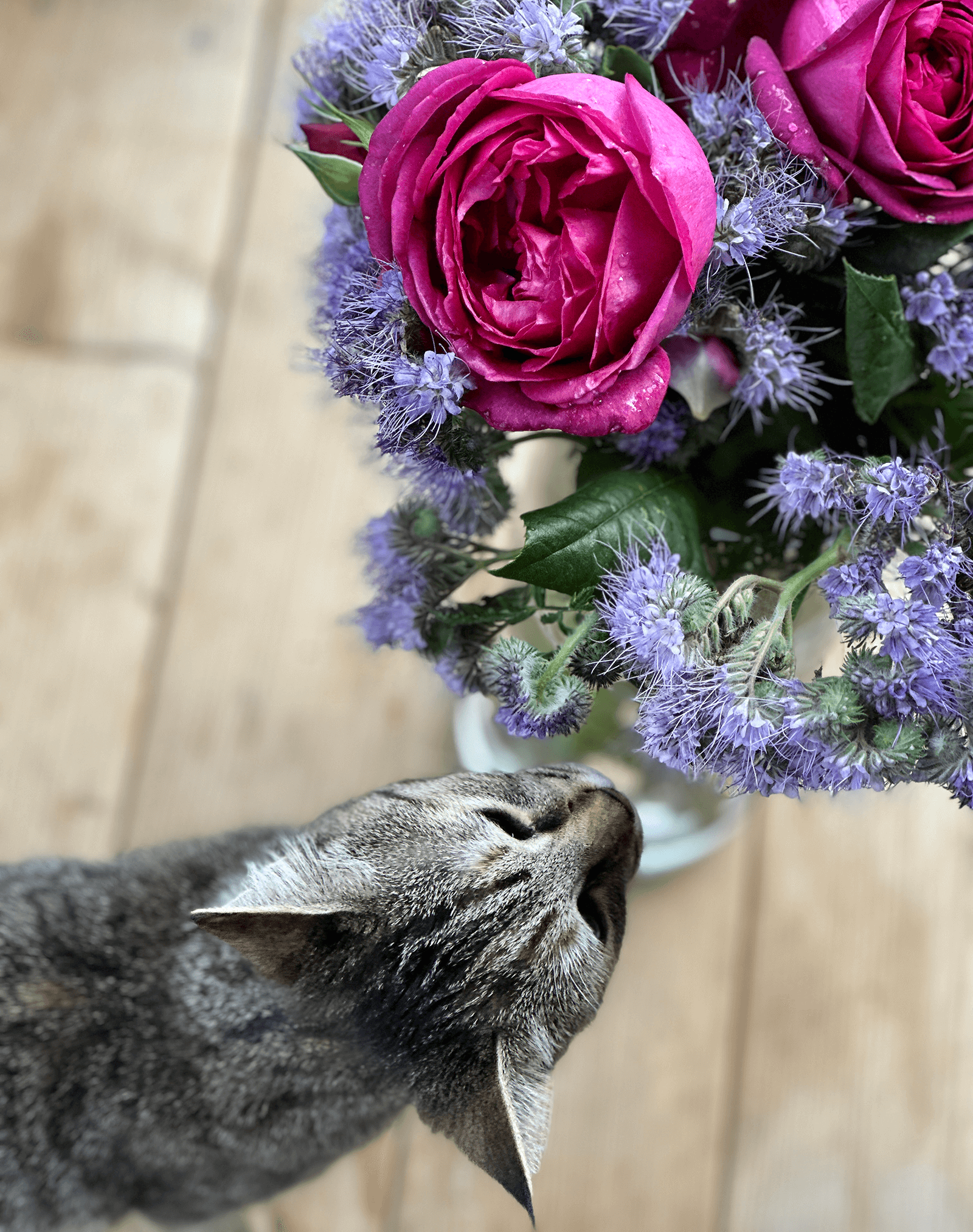 Ce qui nous est nécessaire