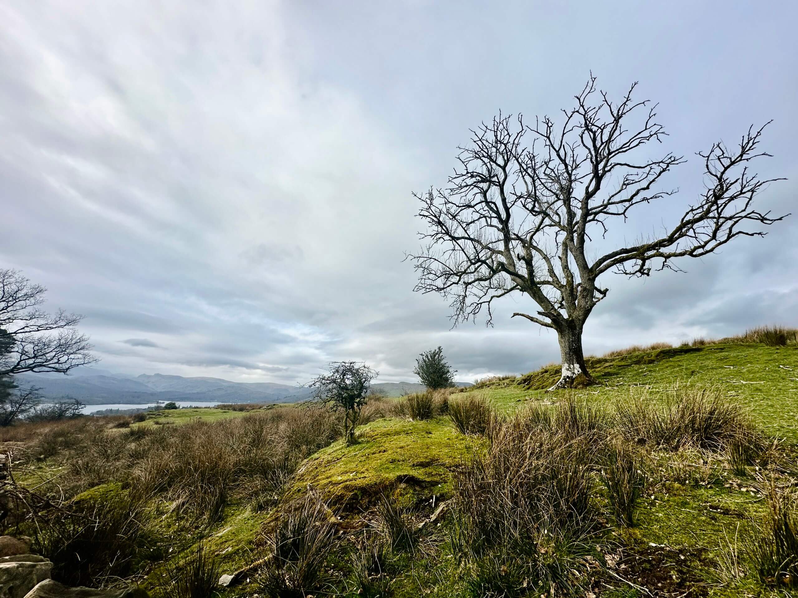 L&rsquo;Angleterre au printemps