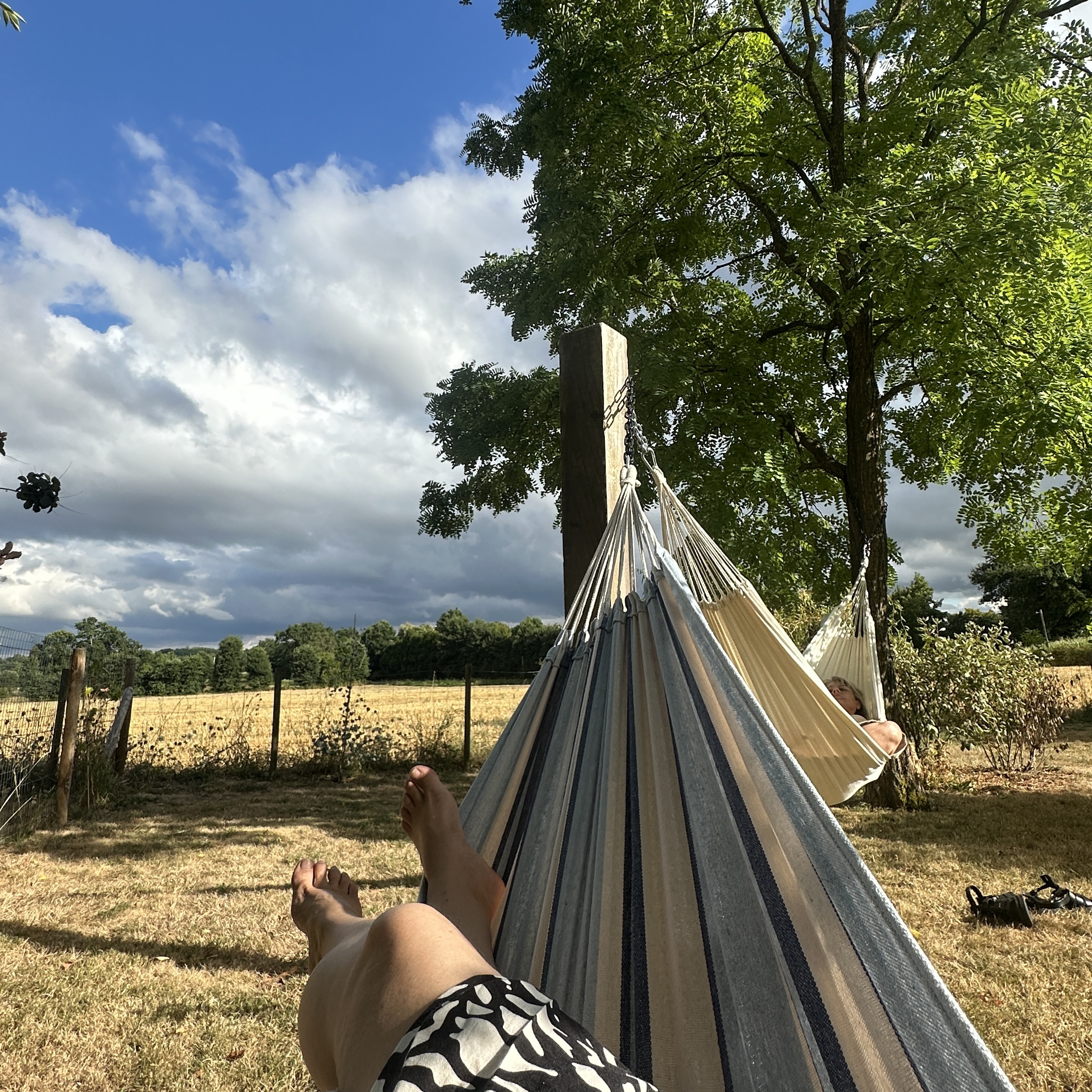 Les moments suspendus